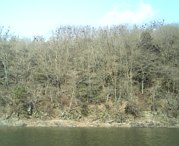 image/2011-01-28T15:42:57-6.jpg