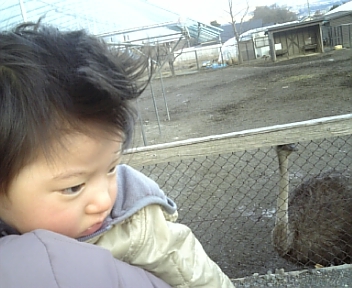 image/2011-03-02T16:47:33-6.jpg