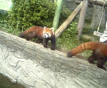 image/2011-08-27T22:36:56-4.jpg