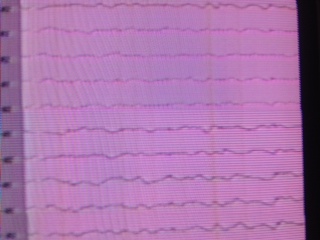 image/2012-08-08T19:54:57-1.jpeg