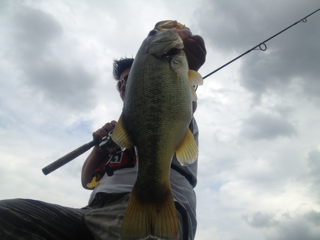 image/2012-08-29T18:30:23-5.png