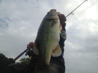 image/2012-08-29T18:32:01-3.png