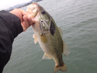 image/2013-10-18T00:02:35-5.jpeg