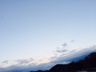 image/2014-12-02T23_06_17-6.jpeg