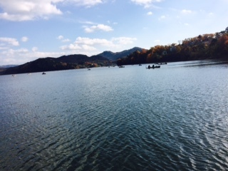 12月5日 入鹿池