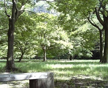 公園.jpg
