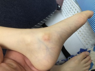 B3C30017-3725-4936-84B8-2026BDE1B23D.jpeg