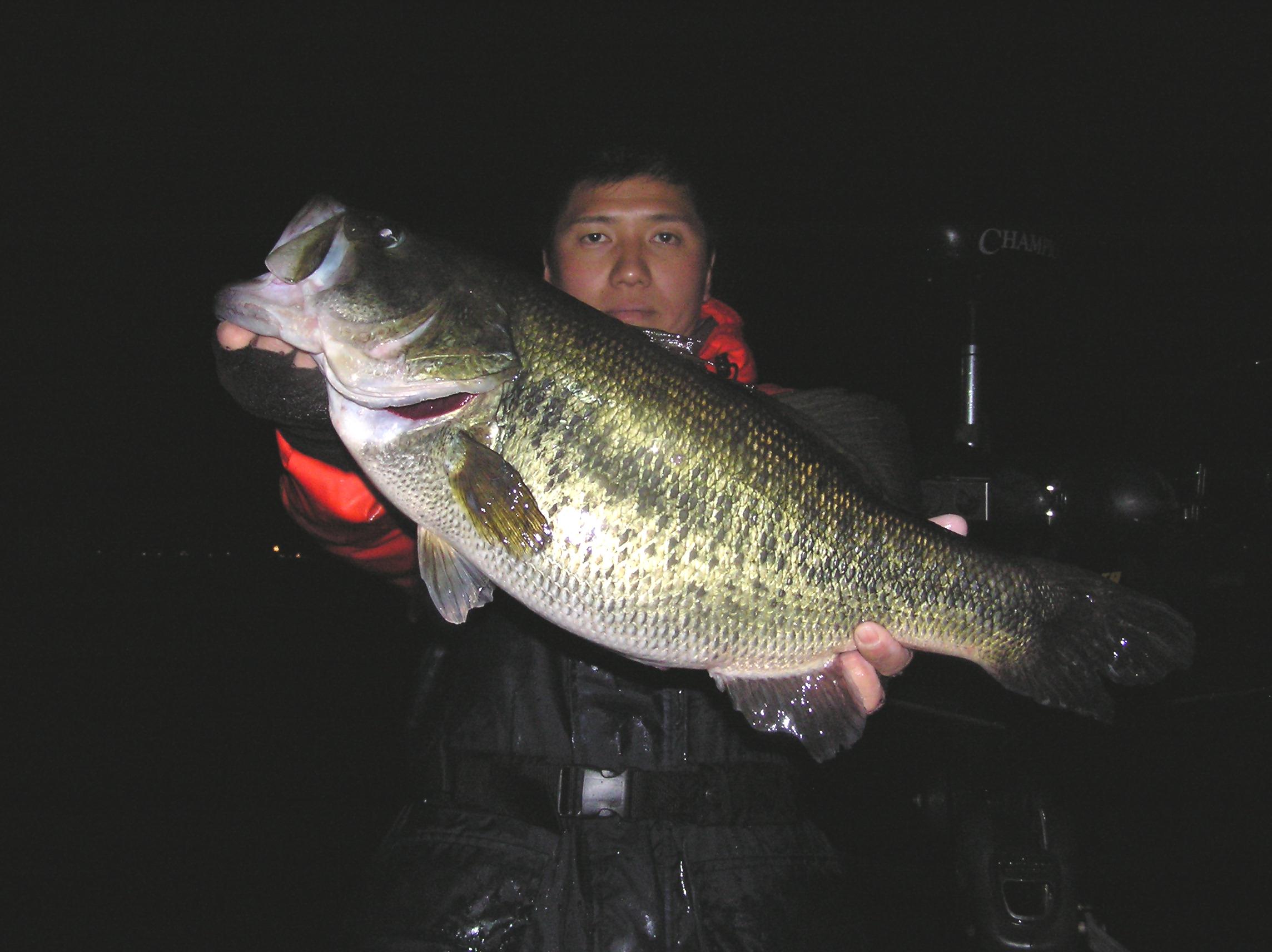 H19年2月14日 62cm 012.jpg