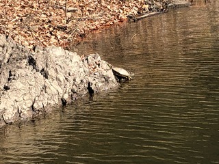 IMG_5426.jpg