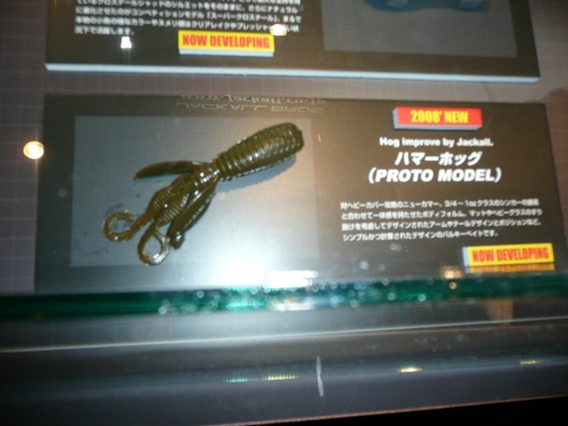 P1000130.JPG