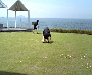 フラワーシャワー