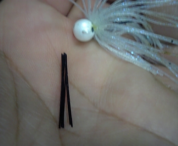 スピンネコ