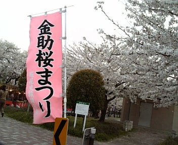 花見