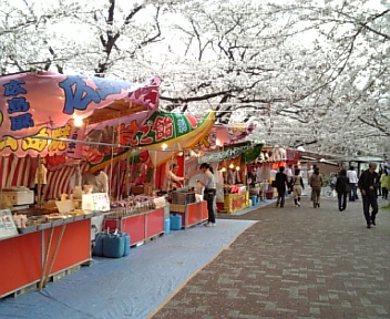花見