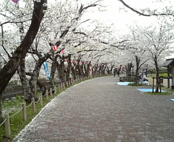 花見