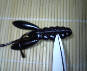 リアクションネコ