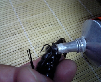 リアクションネコ