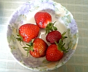 5月11日