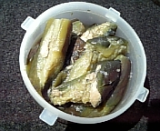 5月15日長浜釣行