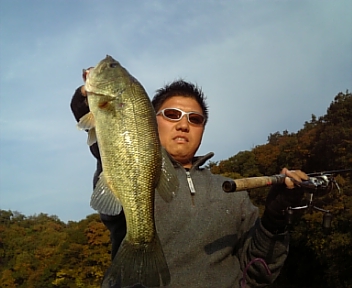 11月17日
