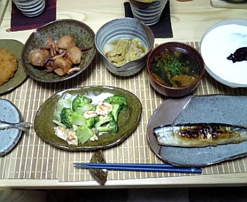 11月26日