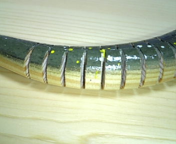 DVC00207.jpg