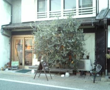 1月25日
