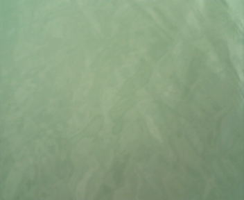 2月3日