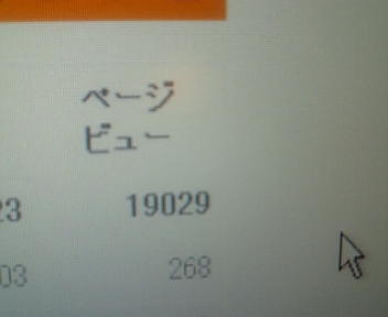 2月11日