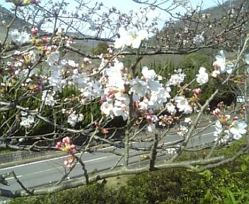 3月23日