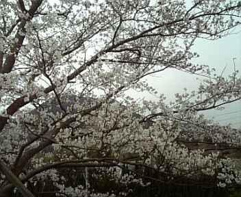 3月31日