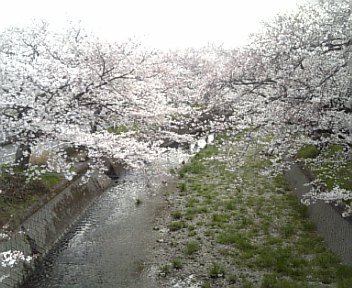 4月3日