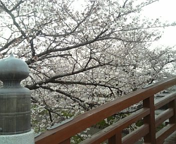 4月3日
