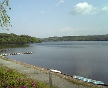 DVC00108.jpg