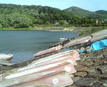 5月13日