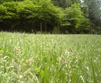 5月27日
