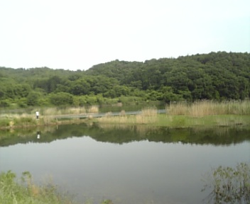 6月2日
