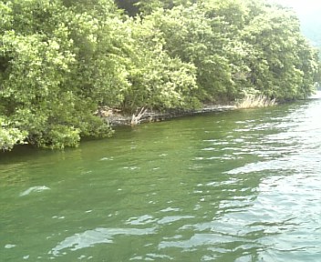 DVC00161.jpg