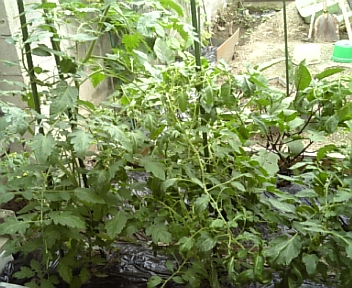 DVC00210.jpg