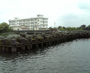 DVC00229.jpg