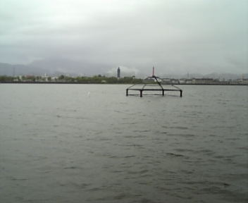 DVC00244.jpg