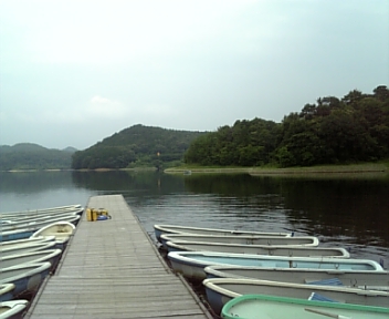 DVC00255.jpg