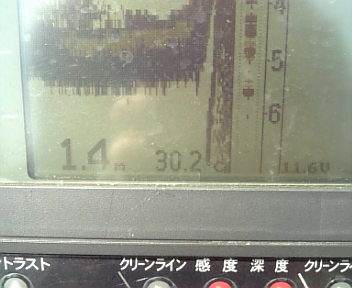 DVC00292.jpg