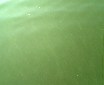 090730_170718.jpg