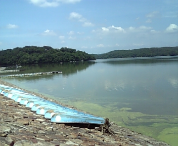 090808_122930.jpg
