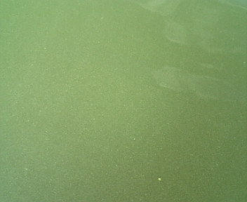 090808_124541.jpg