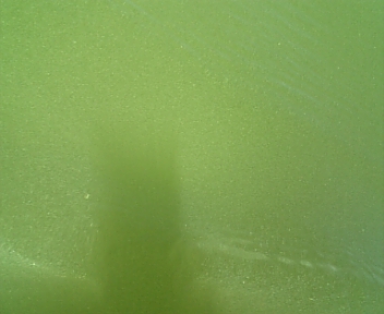 090814_122558.jpg