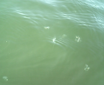 DVC00037.jpg