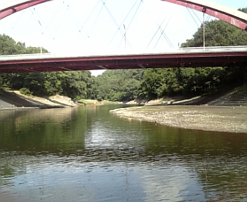 DVC00103.jpg