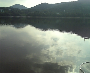 DVC00105.jpg